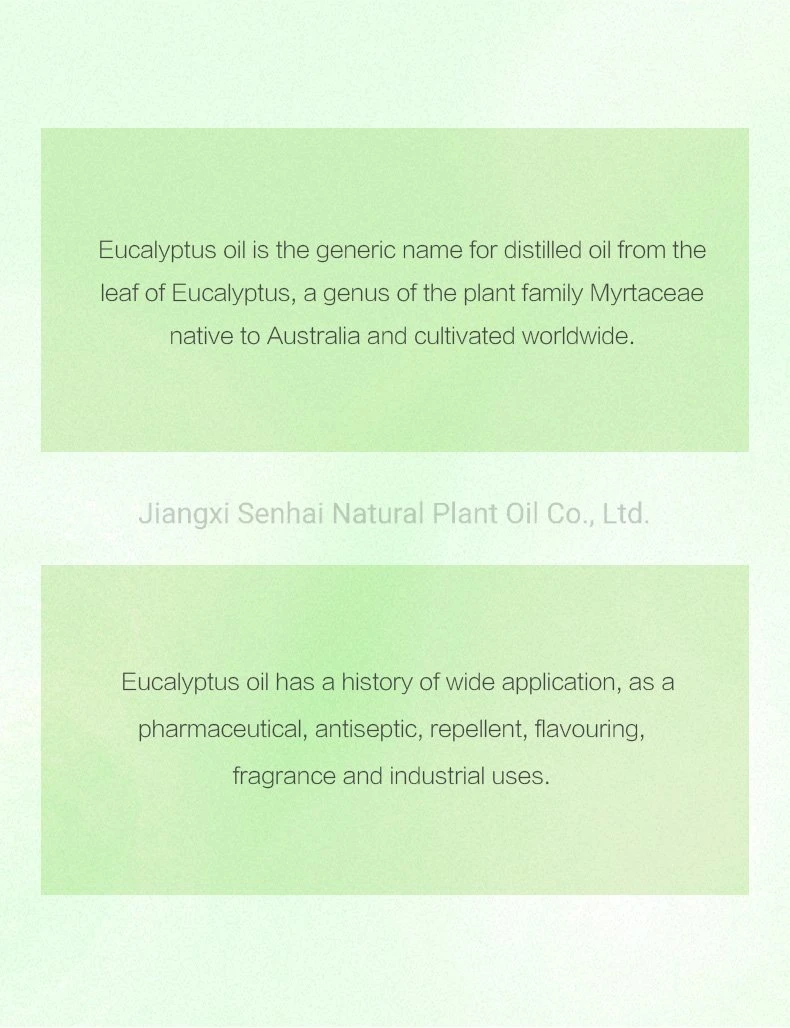 Direct Factory Wholesale 80% Eucalyptus Oil Globulous CAS 8000-48-4