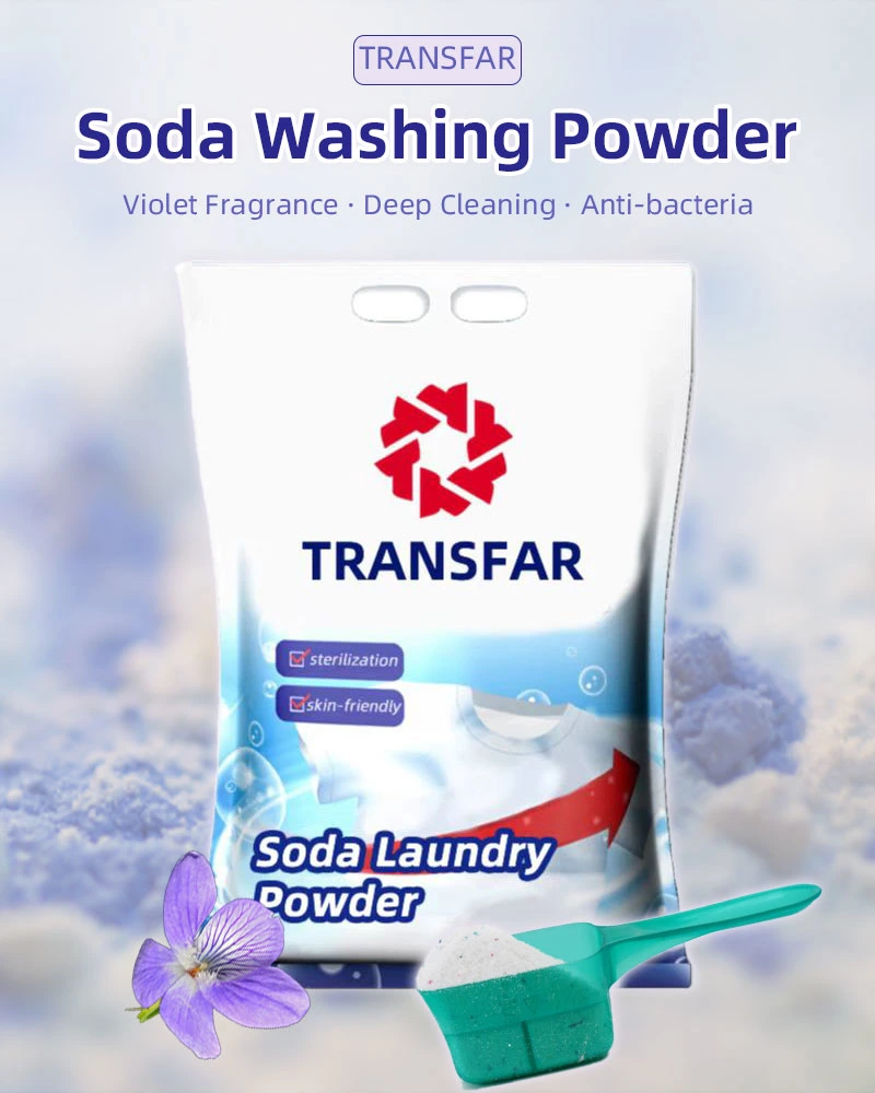 Wholesale Cleaning Products for Household Laundry Detergent Powder Detergente En Polvo